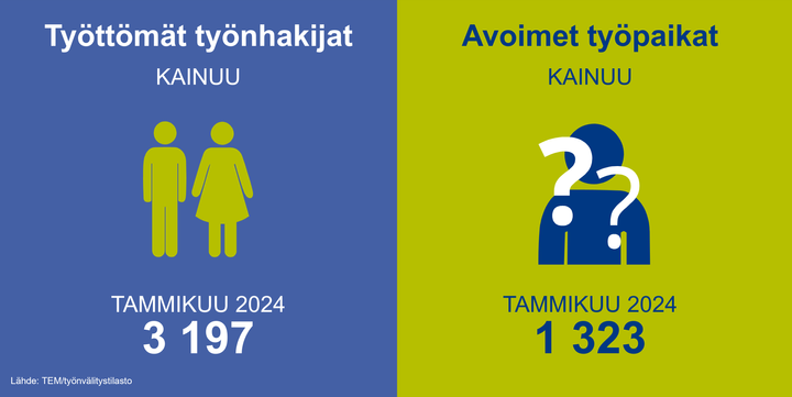 Infograafikuvassa esitetettynä tilastotietoa, joka kertoo työttömien työnhakijoiden määrän (3197 kpl) sekä avoimien työpaikkojen määrän (1323 kpl) Kainuussa tammikuussa 2024.