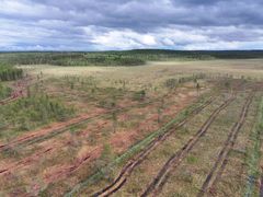 Ilmakuva Purojärvensuosta, etualalla näkyy ennallistettavaa suoaluetta, taustalla metsää ja sininen taivas.