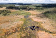 Ilmakuva, jossa näkyy laaja suoalue, jota ympäröivät metsät ja kaukaisuudessa pilkottava järvi.