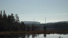 Kaksi tuulivoimalaa metsä- ja järvimaisemassa.
