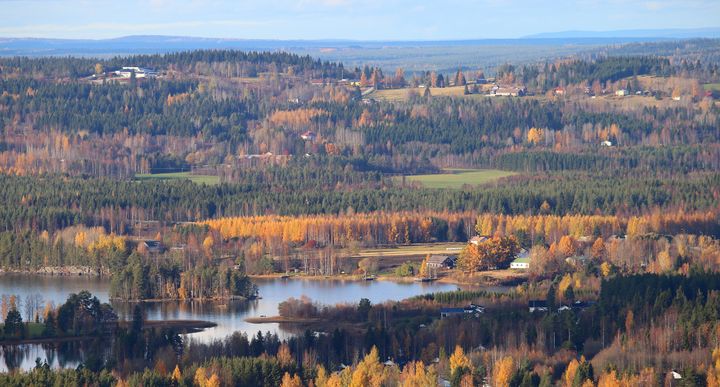 Kuvassa on syksyinen suomalainen vaaramaisema, jossa on metsiä ja järviä. Puitten lehdet ovat ruskan väreissä.