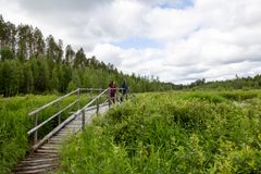 Kaksi ihmistä kulkee pitkospuusiltaa pitkin vehreässä niittymaisemassa.