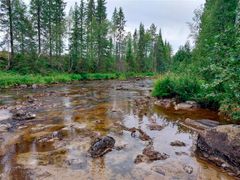 Joki, jossa on matala vesi ja kiviä, ympäröitynä vehreällä metsällä.