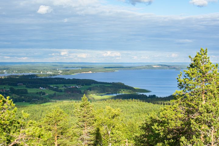 Maisema metsän yli järvelle, sininen taivas pilvissä.