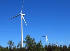 Kuvassa tuulivoimaloita metsän yllä kirkkaalla taivaalla.