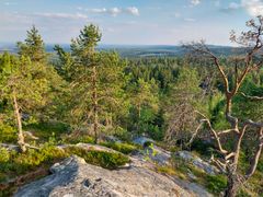 Näkymä Vuokatinvaaralta. Edessä kallioista metsää, taustalla metsää ja sininen taivas.