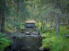 Vanha hirsinen myllyrakennus joessa, ympärillä vanhaa metsää.