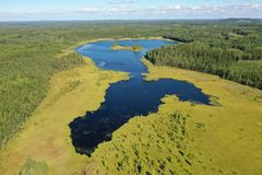 Ilmakuva Riionlammesta