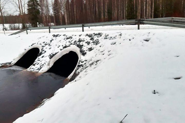 Siltarummut yksityistiellä.