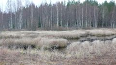 Lempaatsuolla esiintyy arvokkaiksi pienvesikohteiksi luokiteltuja puroja ja lampia.