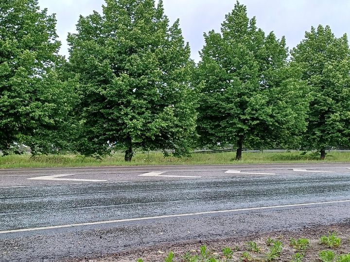 Rantaväylää. Kuva: Keski-Suomen ELY-keskus