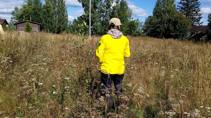 Kirkkaankeltaiseen takkiin pukeutunut henkilö selin kameraan seisoo keskellä peltoa.