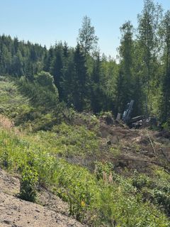 Metsämaisema, jossa on avohakkuualuetta ja kasoja risuja ja puita.
