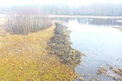 Ilmakuva syksyisestä suomaisemasta, jossa on puita, vettä ja ruohoa.