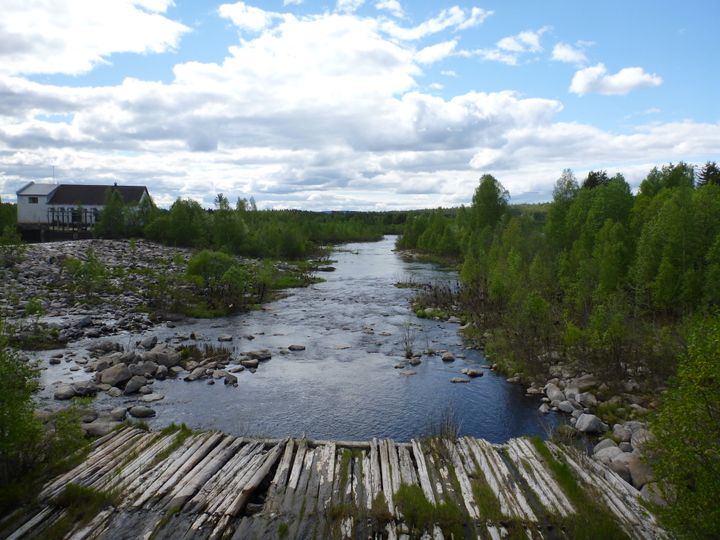 Joen uoma kesäaikaan.