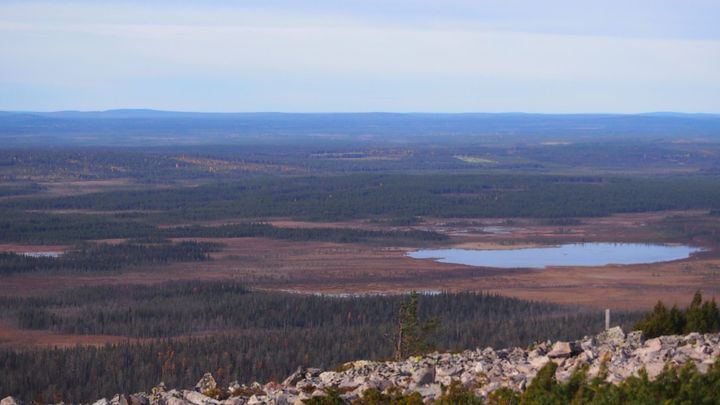 Maisemakuva tunturin päältä, metsiä ja järviä.