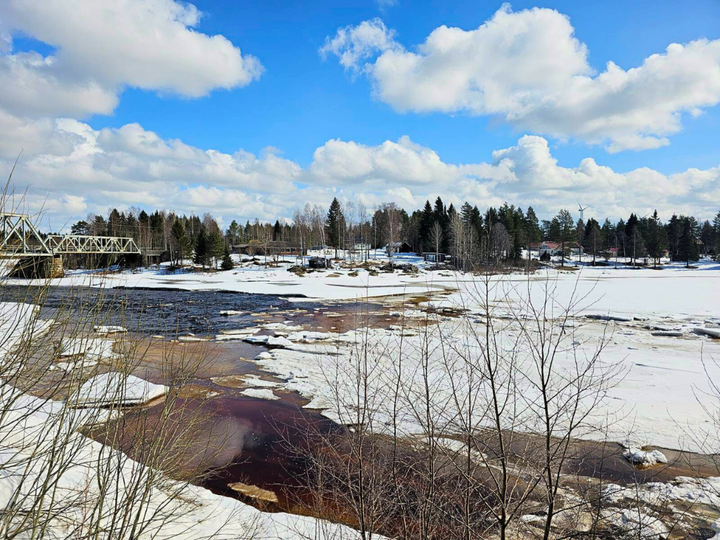Simojoki urheilukentän kohdalta 25.4.2024. Kuva: Lapin ELY-keskus