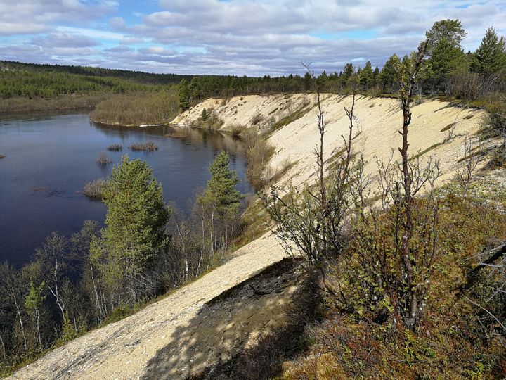 Kuva Inarijoen varrelta.
