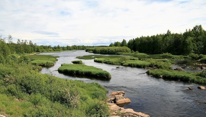 Kemijoki