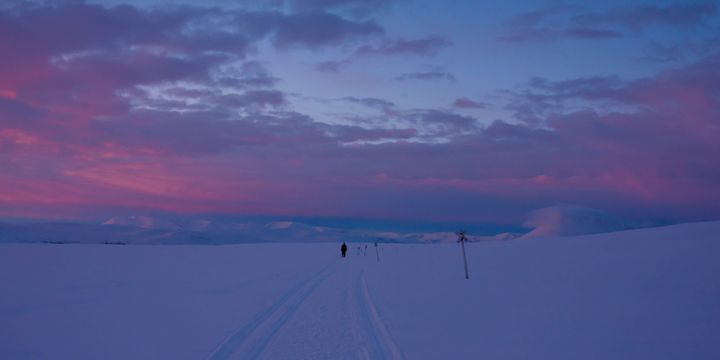 Talvinen maisema auringonlaskun aikaan Lapissa, hiihtolatu kulkee lumisten peltojen halki.