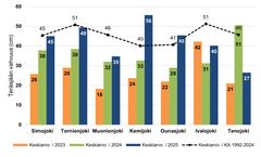 Teräsjään keskimääräiset paksuudet Lapin suurimmissa jokivesistöissä vuosina 2023–2025 sekä teräsjään paksuus keskimäärin vuosijaksolla 1992–2024.