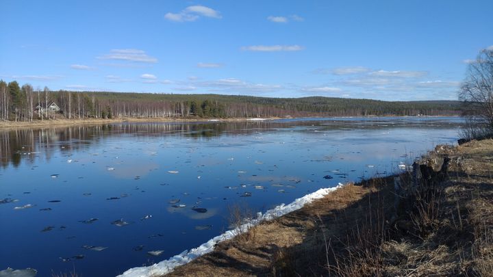 Pääosin sula tyyni joki, jossa pieniä jääpaloja.
