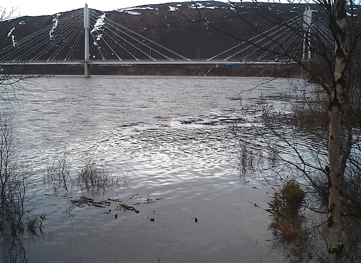 Tenojoen tulvaa Onnelansuvannon kohdalta, taustalla silta.