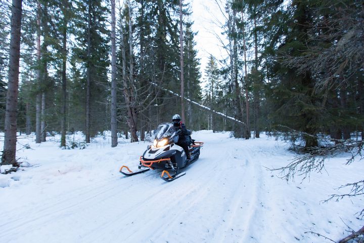 moottorikelkkailija metsässä