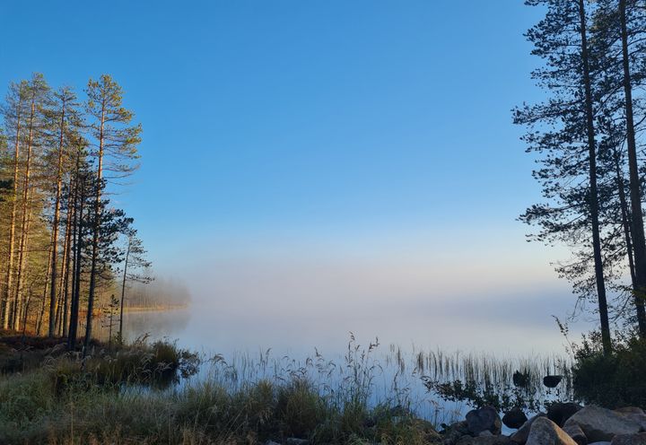 Kuvassa aamu-usvainen maisema.
