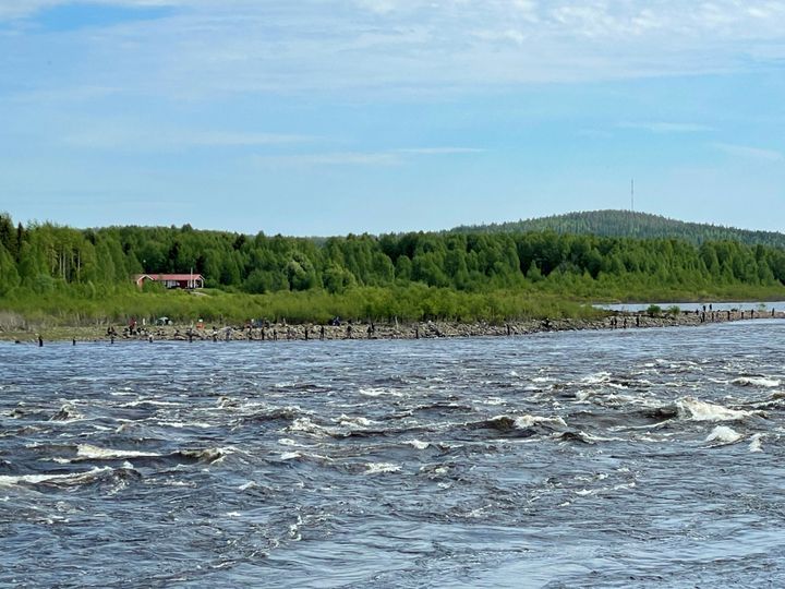 Kalastajia Matkakoskella, taustalla metsämaisemaa.
