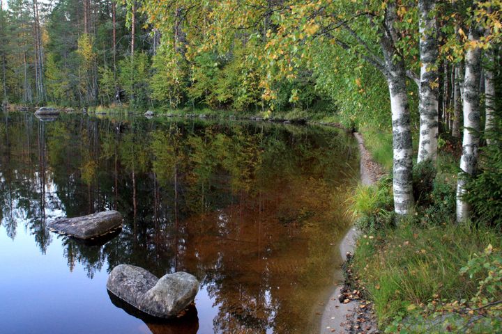 Kuvassa on syksyinen järvimaisema.