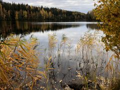 Kuvassa on syksyinen järvimaisema.