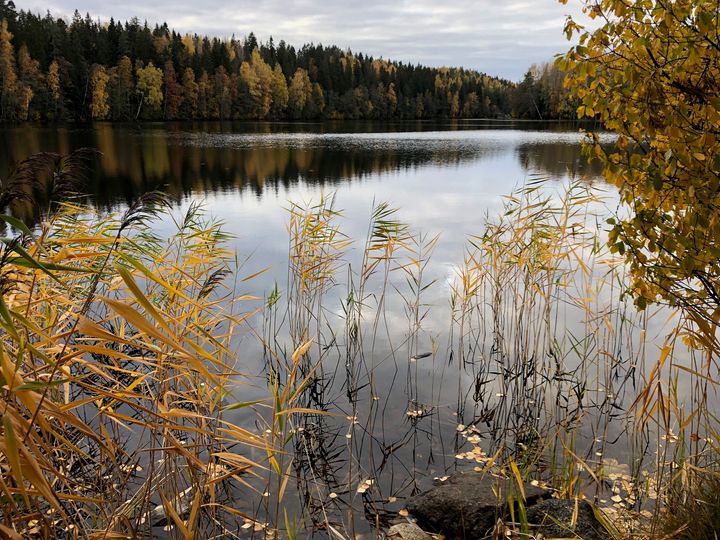 Kuvassa on syksyinen järvimaisema.