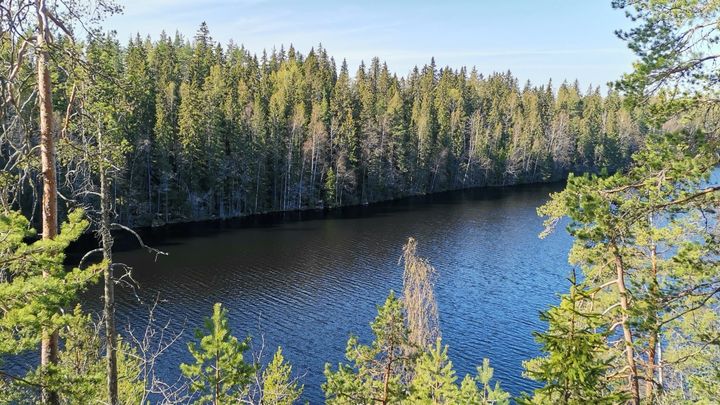 Hervantajärvi