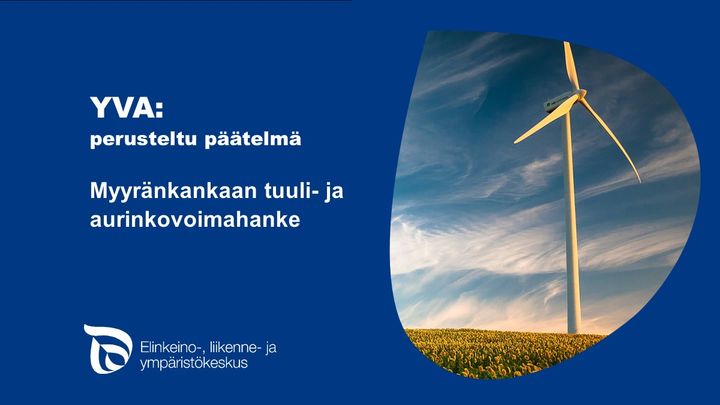 tuulivoimala auringokukkapellolla, vieressä grafiikkaa