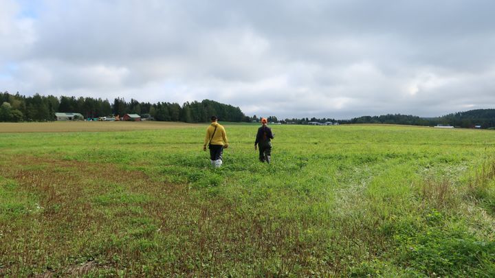 Pirkanmaan ELY-keskuksen tarkastajat valvovat EU:n maataloustukien ehtojen toteutumista pirkanmaalaisilla maatiloilla.