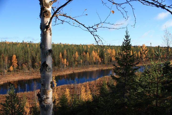 Sinilevää voi esiintyä pitkälle syksyyn. Pirkanmaalla on kuitenkin tällä hetkellä ajankohtaan nähden normaalia vähemmän sinilevää.