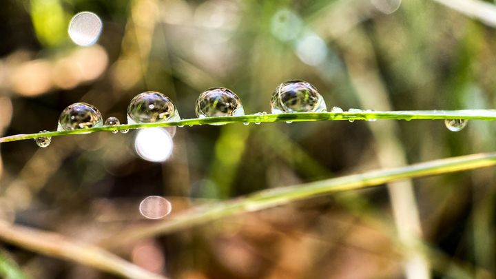Metsätaloudelle herkät vesistöt -aineisto on paikkatietopohjainen työkalu sellaisten metsätaloustoimien suunnitteluun, jotka voivat vaikuttaa vesistöihin.