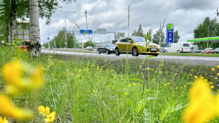Hiedanrannan ja Vaitinaron alueella tehdään pohjatutkimuksia kesän aikana.