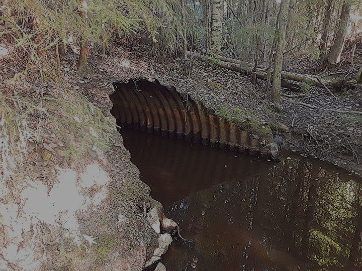 Kaupin silta Ylöjärvellä.