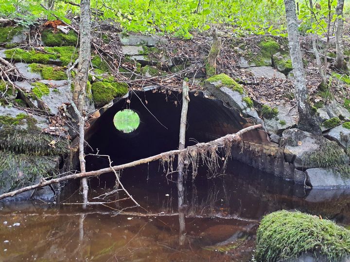 Kukasjärven silta Kuhmoisissa.