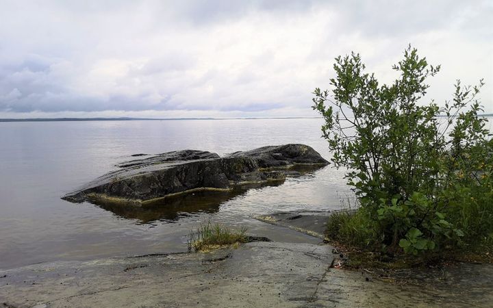 Elokuun lopussa sinileväesiintymät ovat tyypillisesti runsaimmillaan.