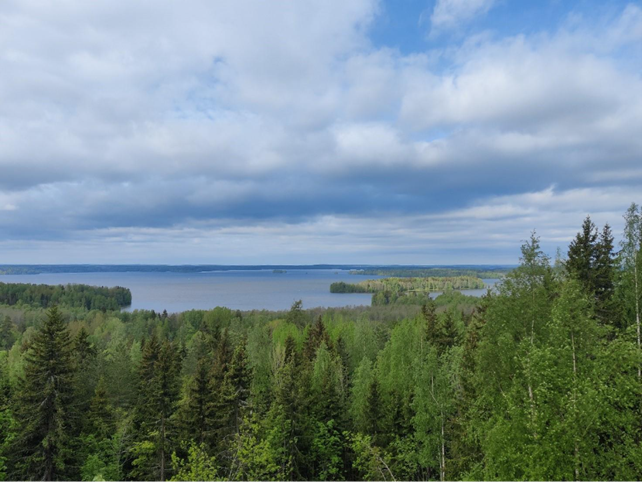 Näkymä Rapolanharjulta Vanajavedelle.