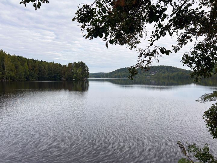 Järvimaisema.