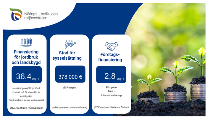 Under första halvåret 2025 beviljade NTM-centralen nästan 40 miljoner euro i finansiering för företagsinvesteringar, landsbygdsutveckling och projekt som främjar den gröna omställningen i regionen.