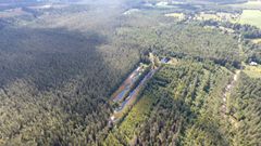 Kosteikkomaisemaa Ilomantsinjärven valuma-alueella. Kuva: Päivi Solehmainen.