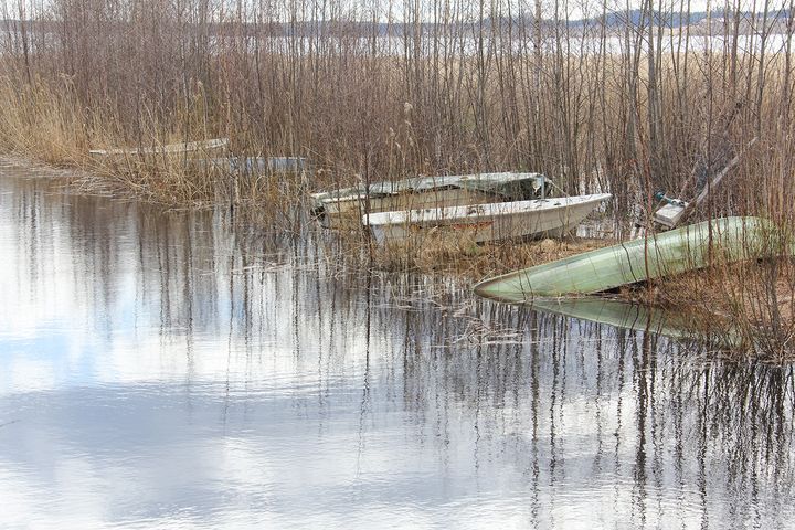 Veneitä matalikossa Tohmajärven Kirkkoniemellä 2.5.2024. Kuva: Teppo Linjama / Pohjois-Karjalan ELY-keskus.