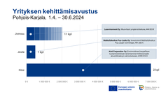 Pohjois-Karjalaan myönnetty 1.4. - 30.6.2024 yrityksen kehittämisavustus kunnittain. Kuva: Ilkka Elo / Pohjois-Karjalan ELY-keskus.
