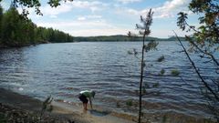 Pohjois-Karjalan järvien vedenkorkeudet olivat matalalla kesäkuussa. Kuva: Ilkka Elo / Pohjois-Karjalan ELY-keskus.