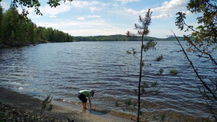Pohjois-Karjalan järvien vedenkorkeudet olivat matalalla kesäkuussa. Kuva: Ilkka Elo / Pohjois-Karjalan ELY-keskus.